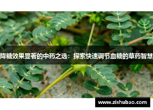 降糖效果显著的中药之选：探索快速调节血糖的草药智慧
